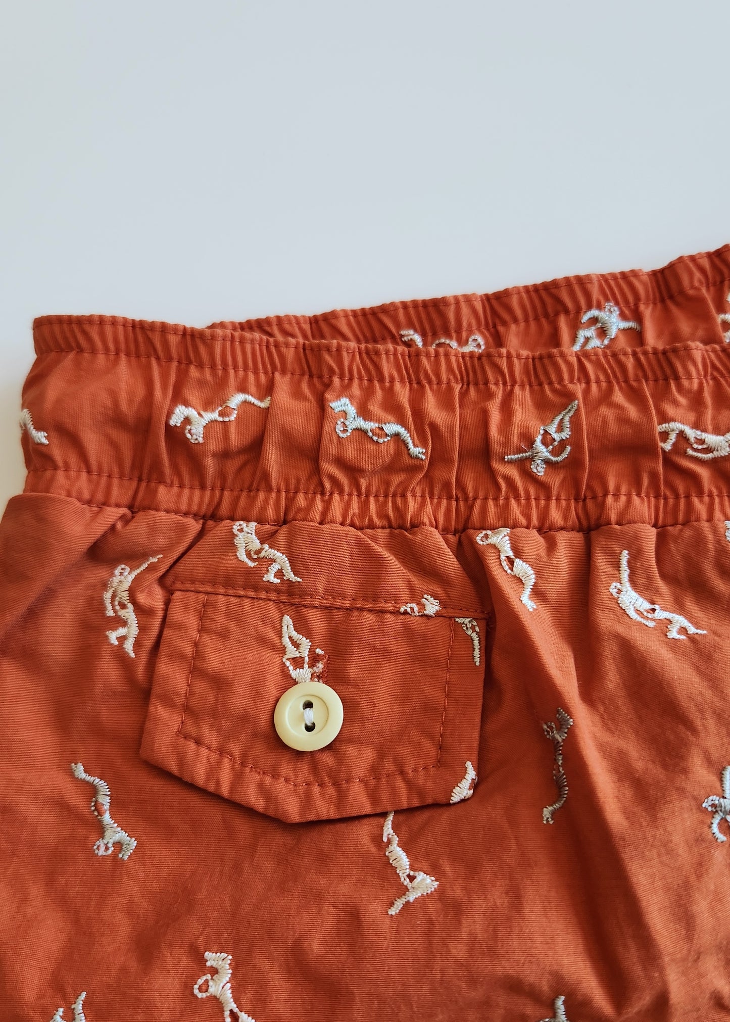 Steven Alan swimming Shorts