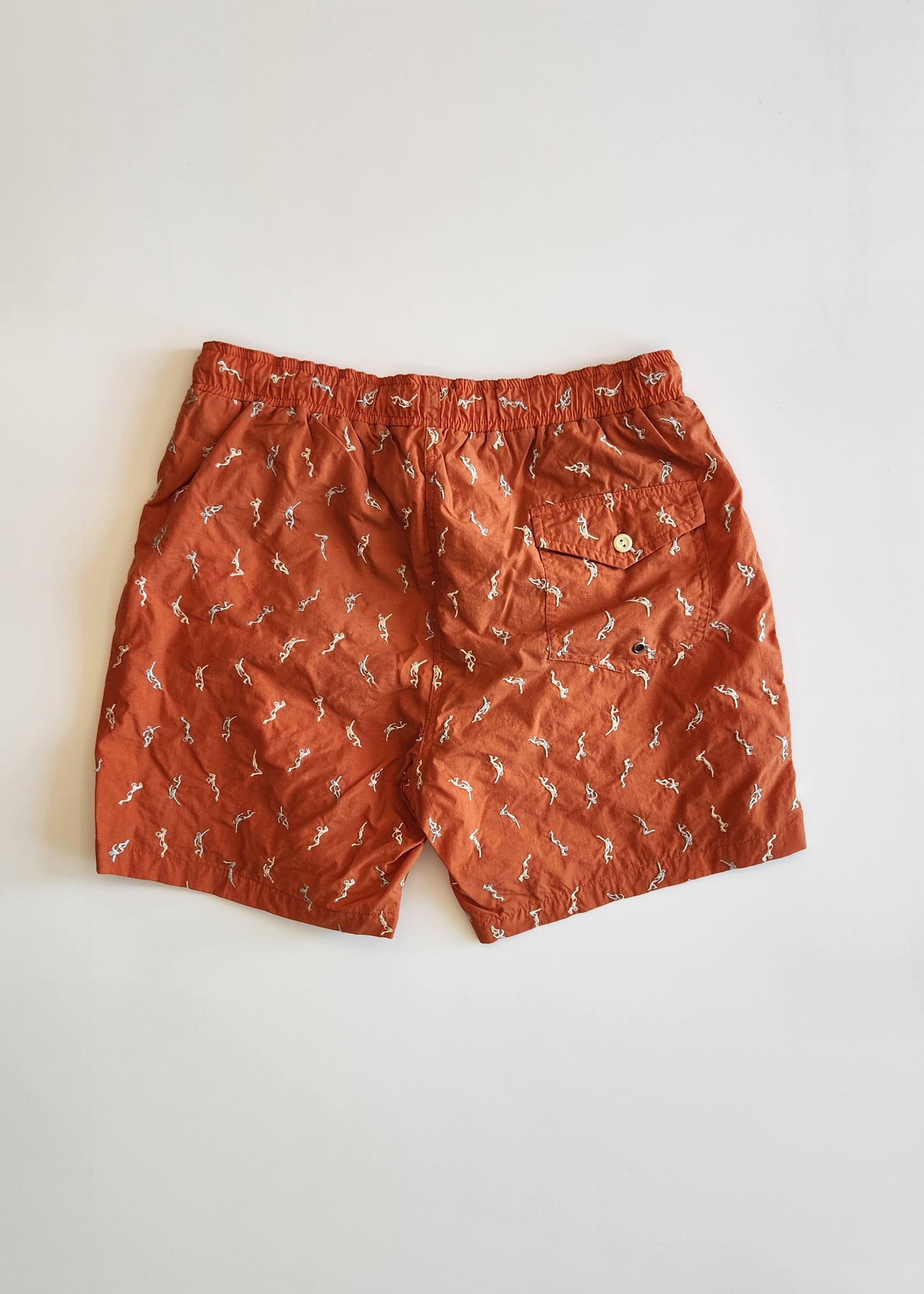 Steven Alan swimming Shorts